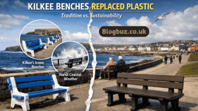 kilkee benches replaced plastic