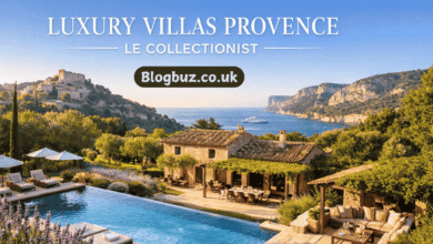luxury villas provence le collectionist