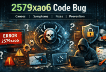 2579xao6 code bug