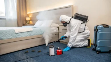 Why Professional Bed Bug Extermination in London Is Worth the Investment