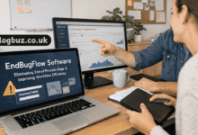 endbugflow software