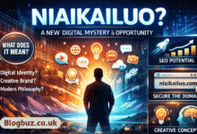 Digital mystery and opportunity exploration