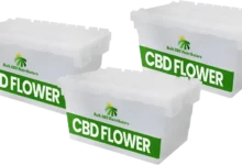 Why Bulk CBD Flower Is in High Demand — And What Buyers Should Know