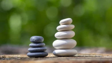 From Memory to Matter The Rise of Stones Made from Ashes