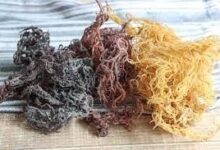 Jamaican Sea Moss