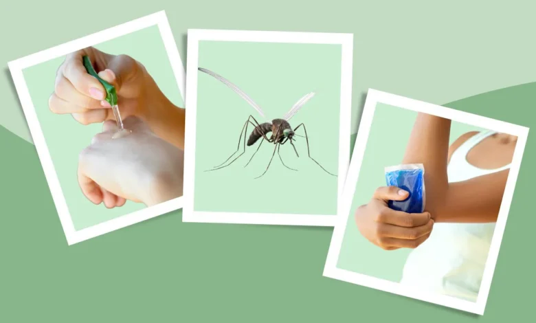 Looking For Fast Mosquito Bite Relief Try Bug Bite Patches