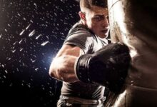 Testosterone and Aggression Is There Really a Link