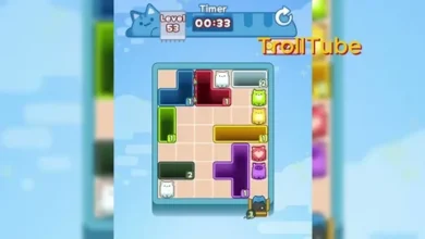 The Gacha Goldmine: Why NekoDrop is the Next Frontier in Automated Retail