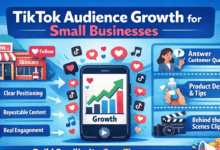 TikTok Audience Growth for Small Businesses