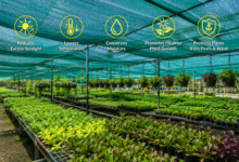 Benefits of Using Shade Net for Better Plant Growth and Productivity