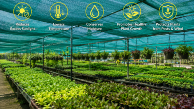 Benefits of Using Shade Net for Better Plant Growth and Productivity