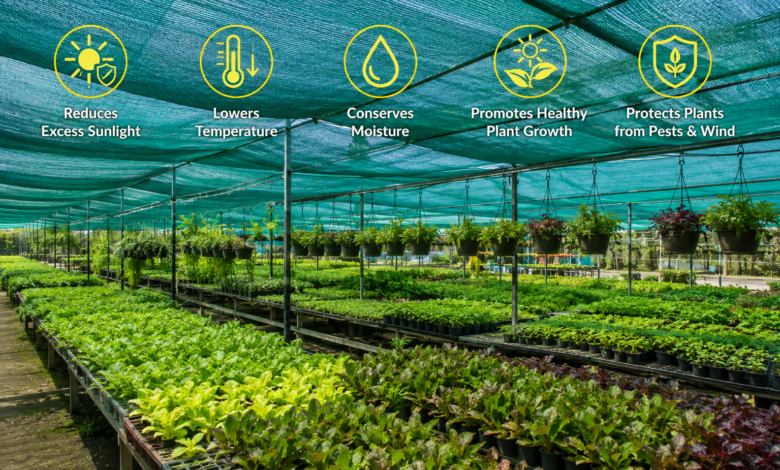 Benefits of Using Shade Net for Better Plant Growth and Productivity