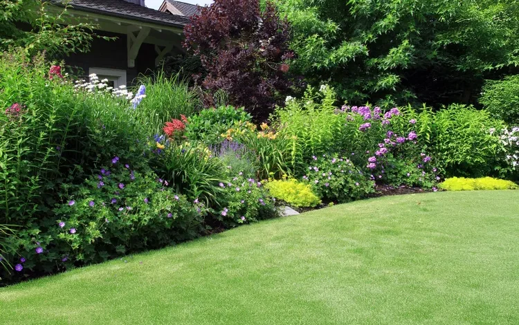 How to keep your lawn in top condition
