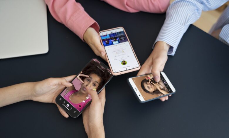 Instagram Story Viewer