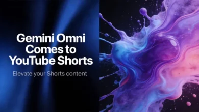 Omni Flash