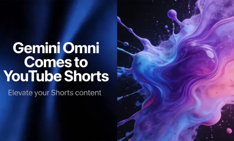 Omni Flash