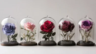 Roses