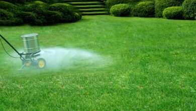 Greenest Grass