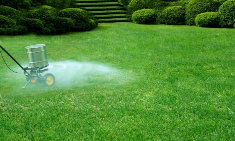 Greenest Grass