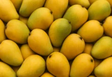 Online Mango