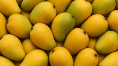 Online Mango