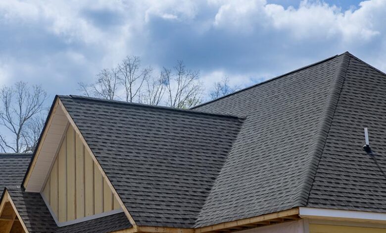 Brave Roofers