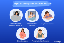 How to Optimize Your Circadian Rhythm for Better Energy and Sleep