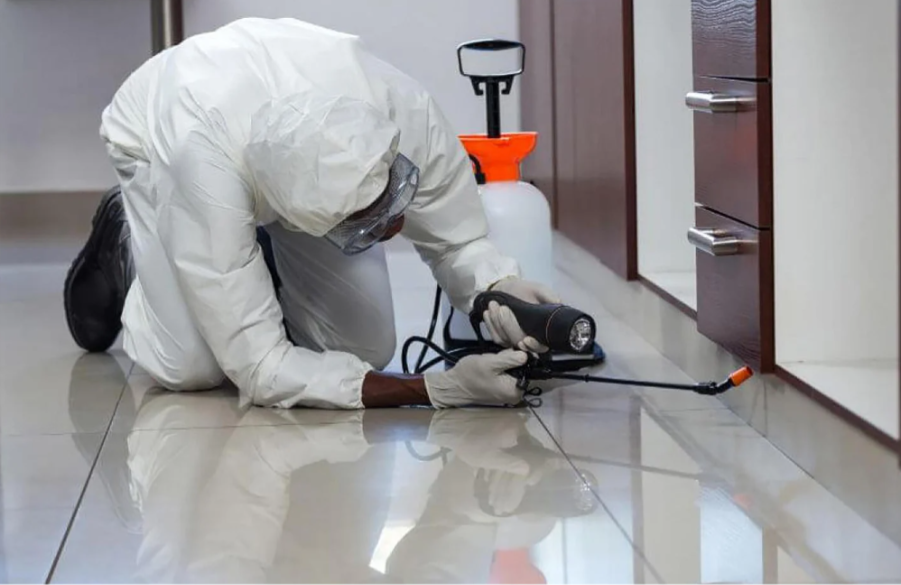 Pest Control 