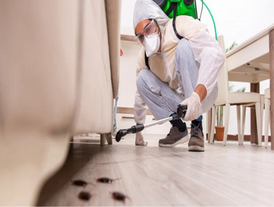 Pest Control 