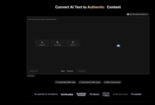 The Post-Automation SEO Survival Guide Protecting Your Domain Authority