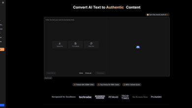 The Post-Automation SEO Survival Guide Protecting Your Domain Authority