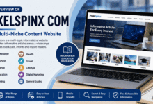 pixelspinx com