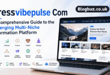 pressvibepulse com