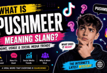 pushmeer meaning slang