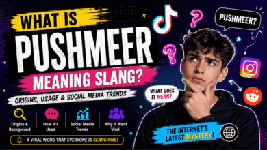 pushmeer meaning slang
