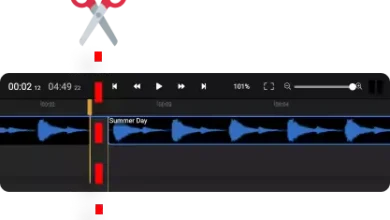 Split MP3 Files Online