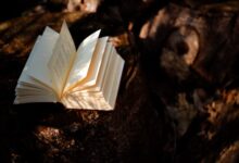 Debunking 4 Common Myths About Learning English in Singapore