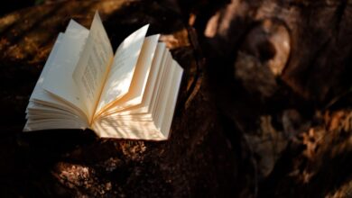 Debunking 4 Common Myths About Learning English in Singapore