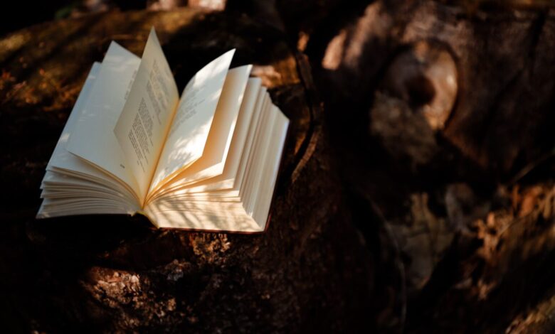 Debunking 4 Common Myths About Learning English in Singapore