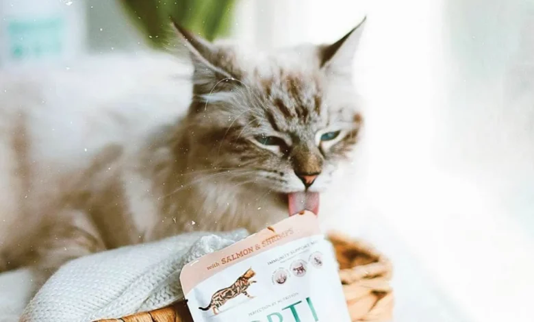 How Do Cat Probiotics Support Gut Health