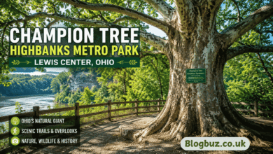 champion tree lewis center ohio highbanks metro park
