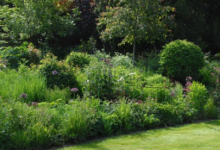Survey Reveals Britain’s Most Overgrown Backyards