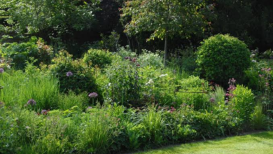 Survey Reveals Britain’s Most Overgrown Backyards