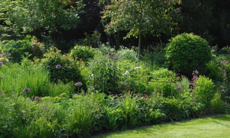 Survey Reveals Britain’s Most Overgrown Backyards
