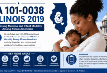 pa 101-0038 illinois 2019