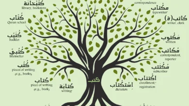 Arabic Root System