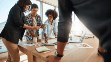 Information Systems Consulting