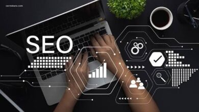 SEO Agency Instead