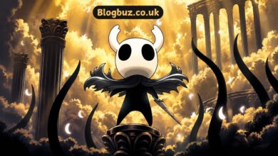 hollow knight