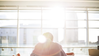 Developing Your Business Ideas Into Fully-Fledged Corporations